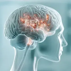 Illustration of neurons lit up inside a human brain within a silhouette
